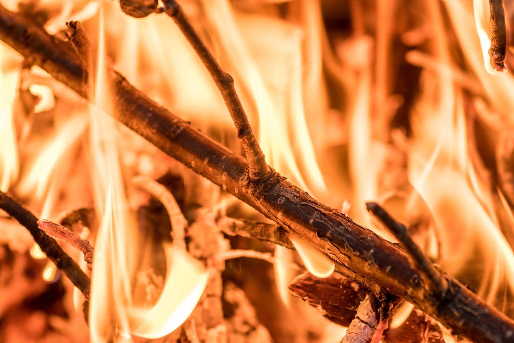 closeup-of-burning-branches-and-twigs-2023-11-27-05-07-08-utc-min